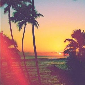 Meet your Posher, Roy